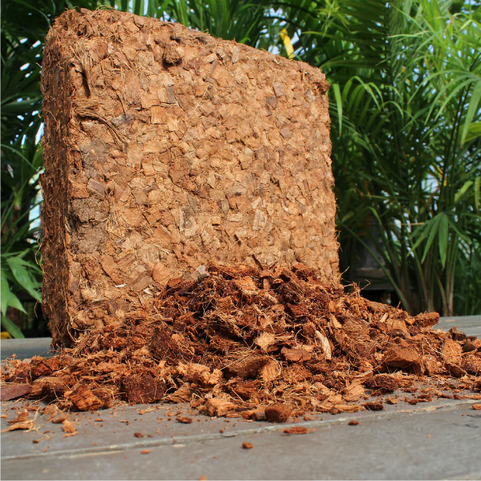Coir Pots
